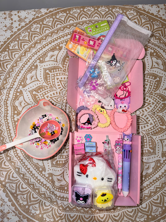 2 scoop lucky scoop- Mystery stationary & Accessories! [Colour theme customisable]